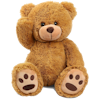 light brown teddy bear sitting